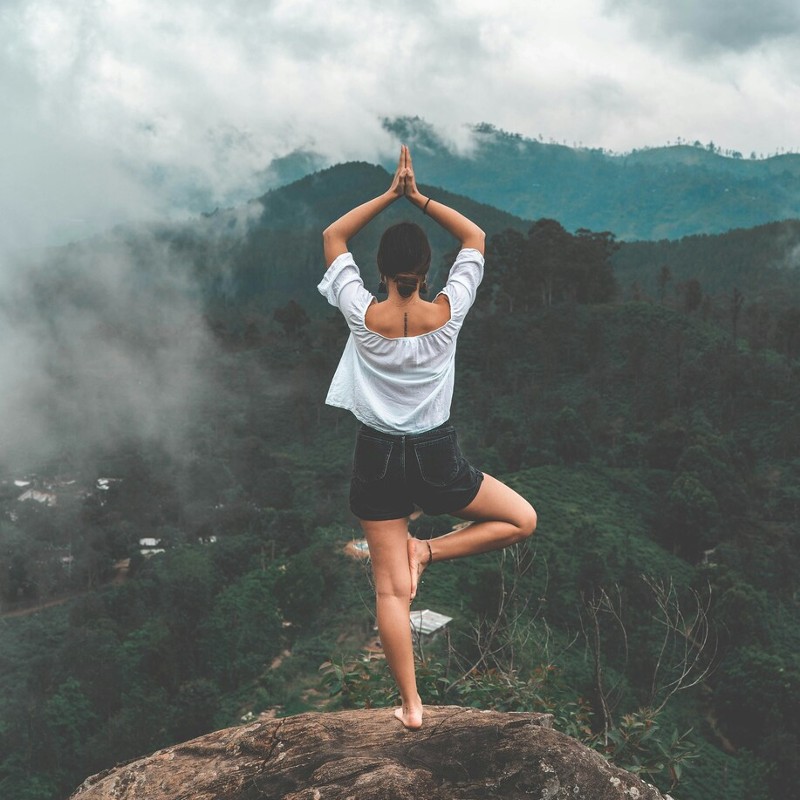 Photo of beautifully
          arranged food